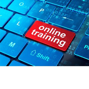 Entrepreneurship 101: Who is your customer?